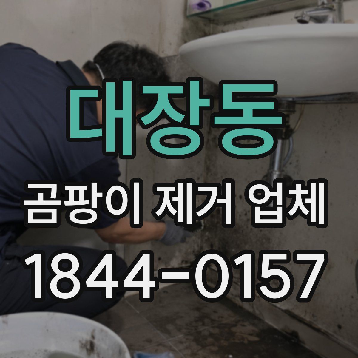 대장동 곰팡이 제거 업체