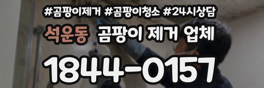 석운동 곰팡이 제거 업체
