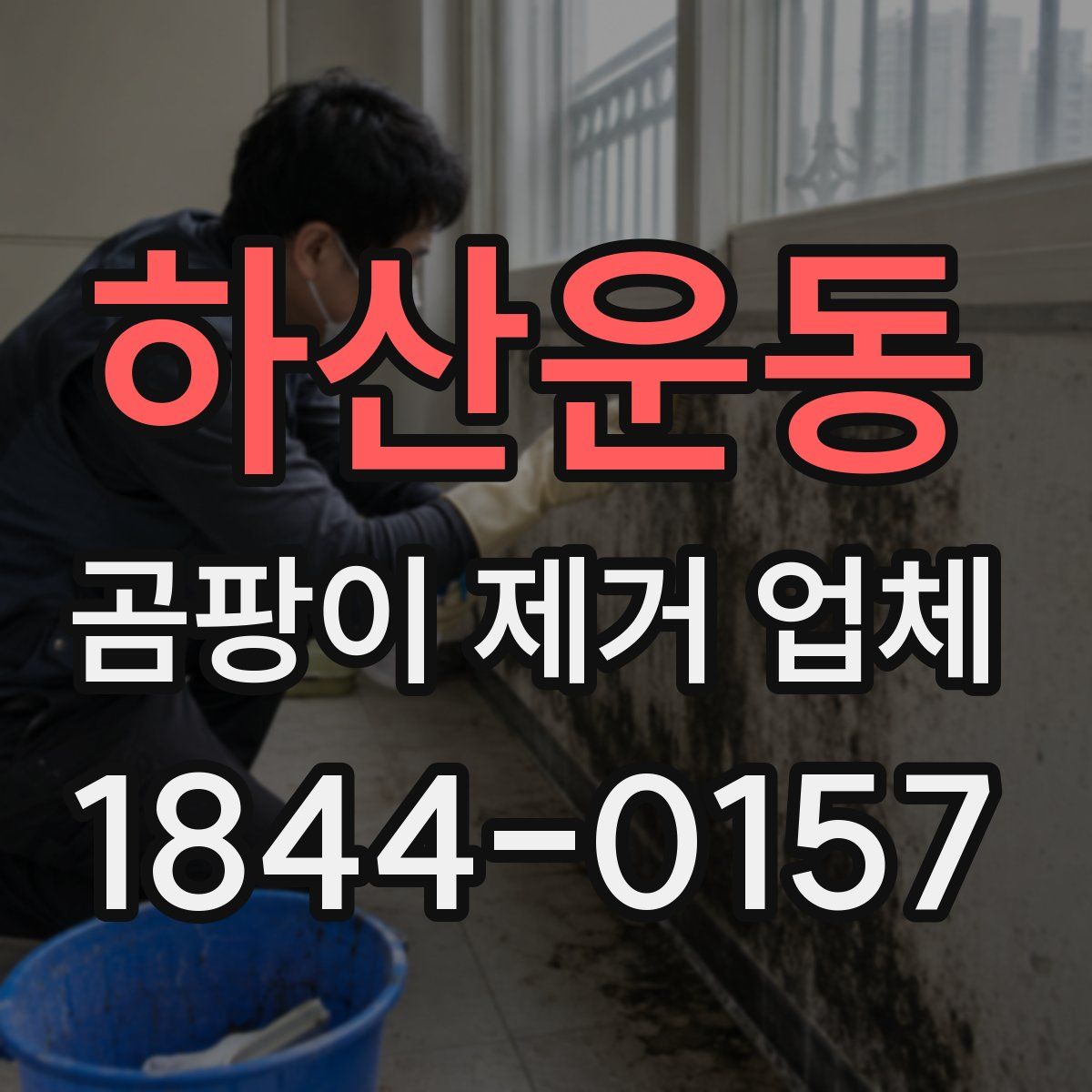 하산운동 곰팡이 제거 업체