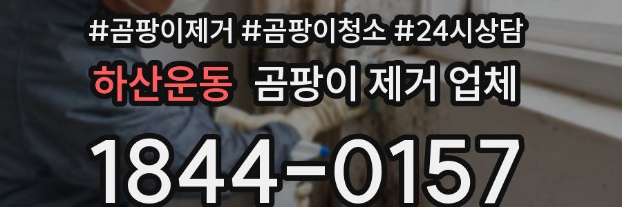 하산운동 곰팡이 제거 업체