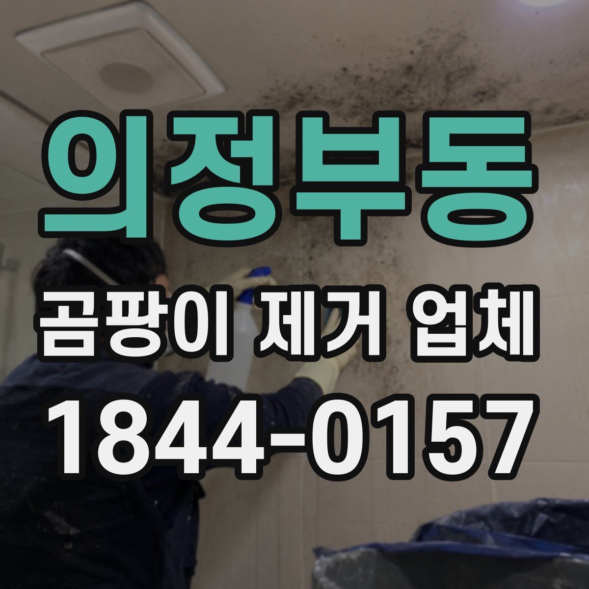 의정부동 곰팡이 제거 업체