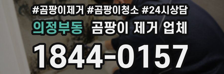 의정부동 곰팡이 제거 업체