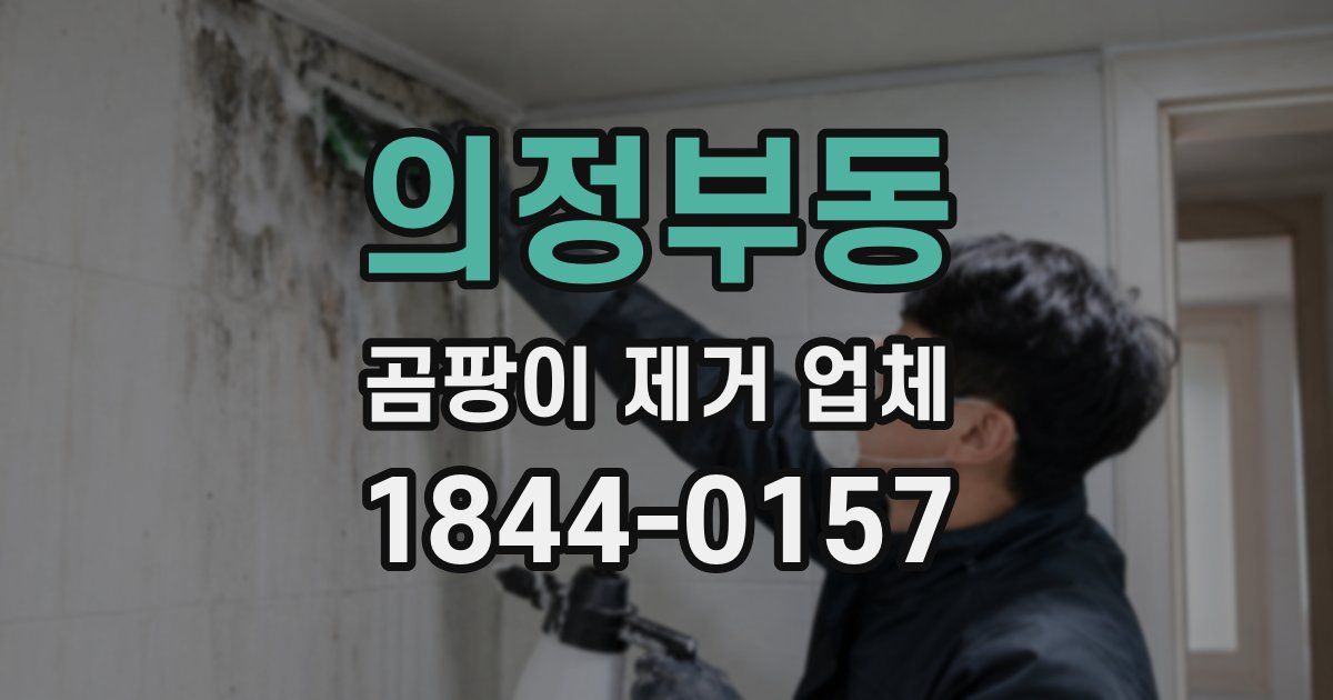 의정부동 곰팡이 제거 업체