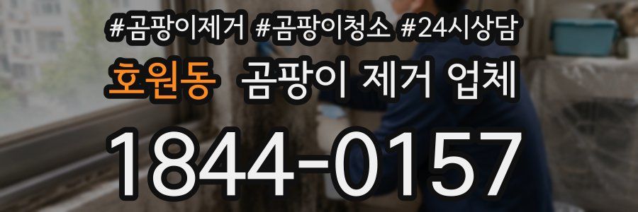 호원동 곰팡이 제거 업체