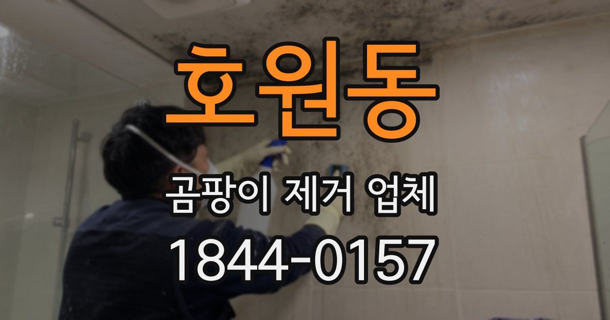 호원동 곰팡이 제거 업체