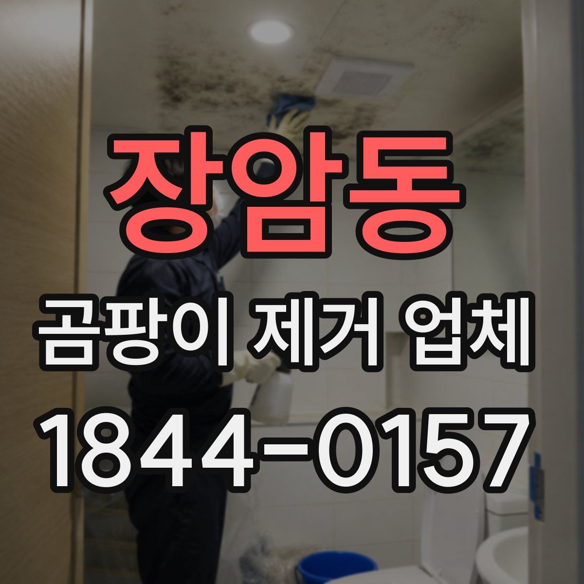 장암동 곰팡이 제거 업체