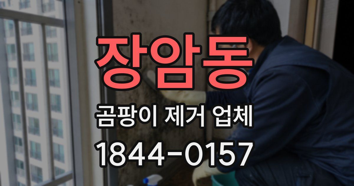 장암동 곰팡이 제거 업체