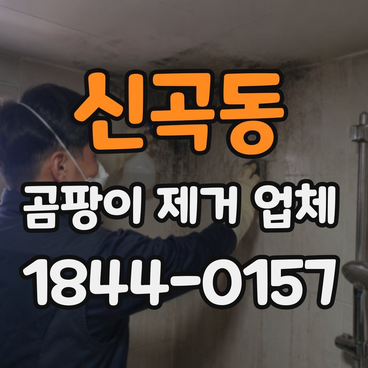 신곡동 곰팡이 제거 업체 벽면과 천장 오염을 나눠 진단하는 기준