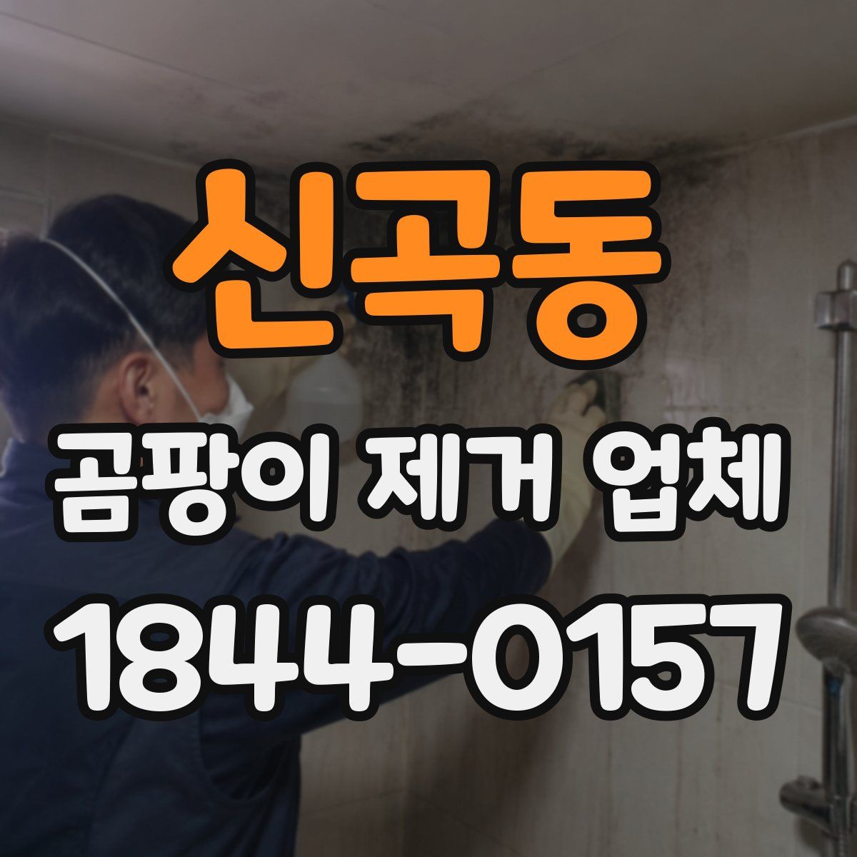 신곡동 곰팡이 제거 업체