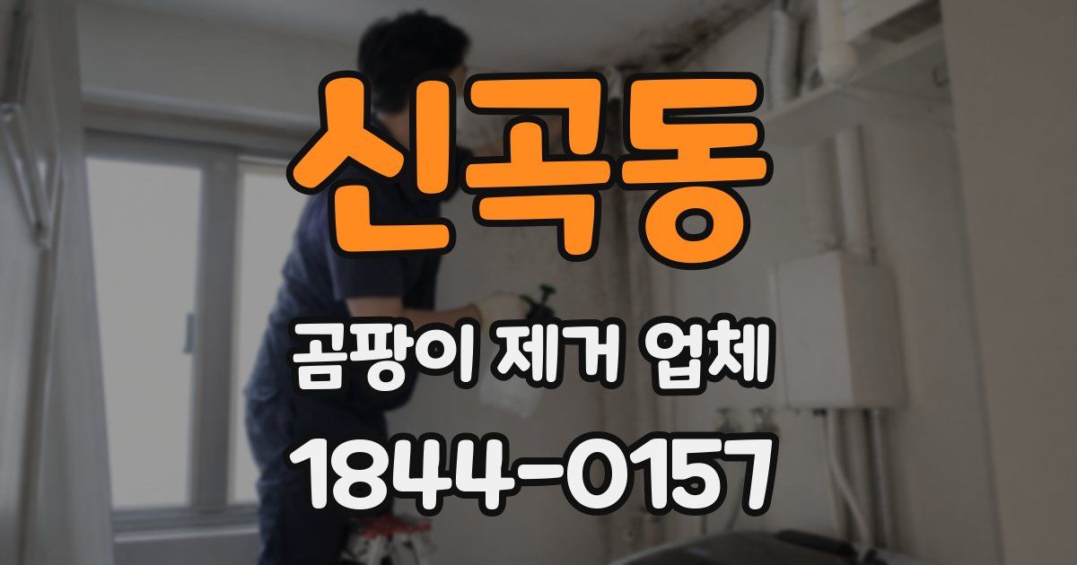 신곡동 곰팡이 제거 업체