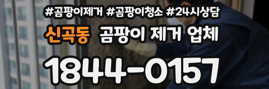 신곡동 곰팡이 제거 업체