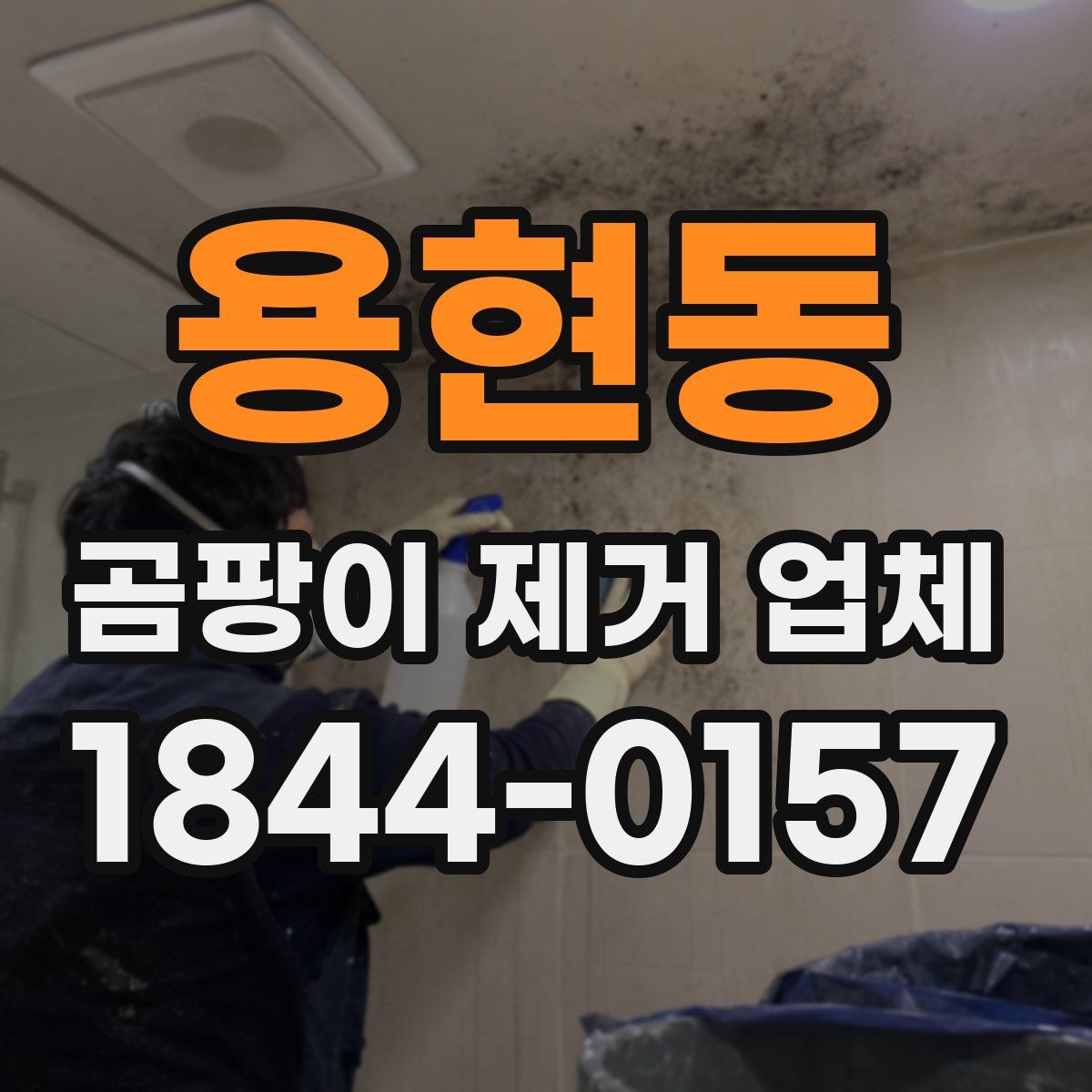 용현동 곰팡이 제거 업체