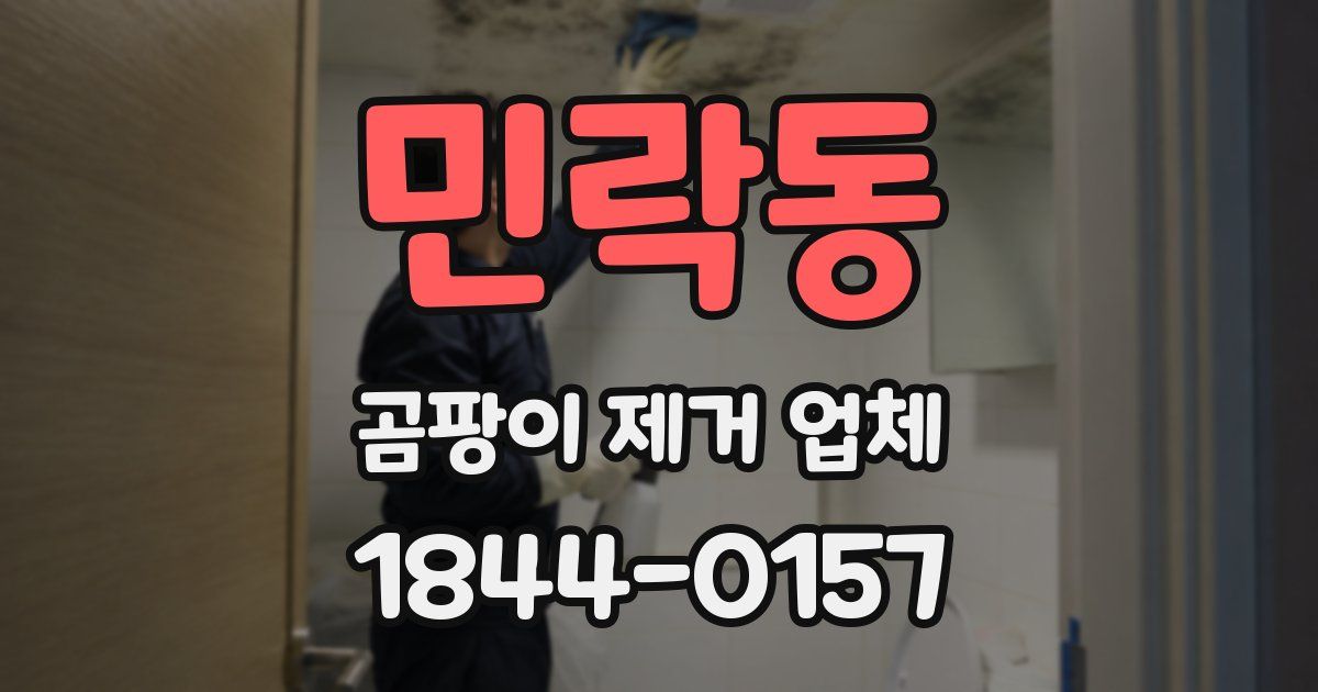 민락동 곰팡이 제거 업체
