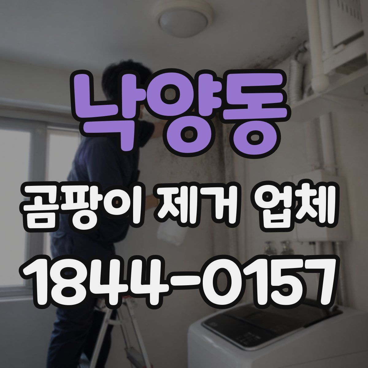 낙양동 곰팡이 제거 업체