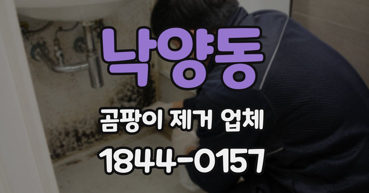 낙양동 곰팡이 제거 업체