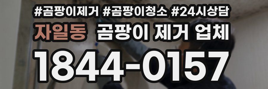 자일동 곰팡이 제거 업체