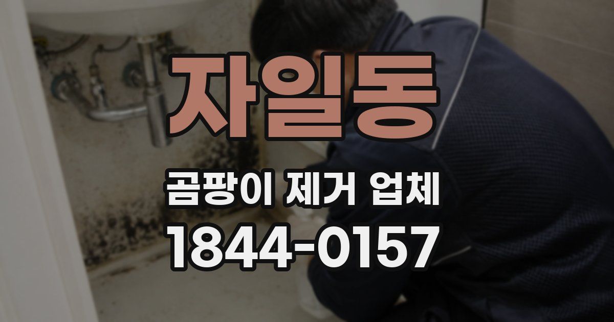 자일동 곰팡이 제거 업체