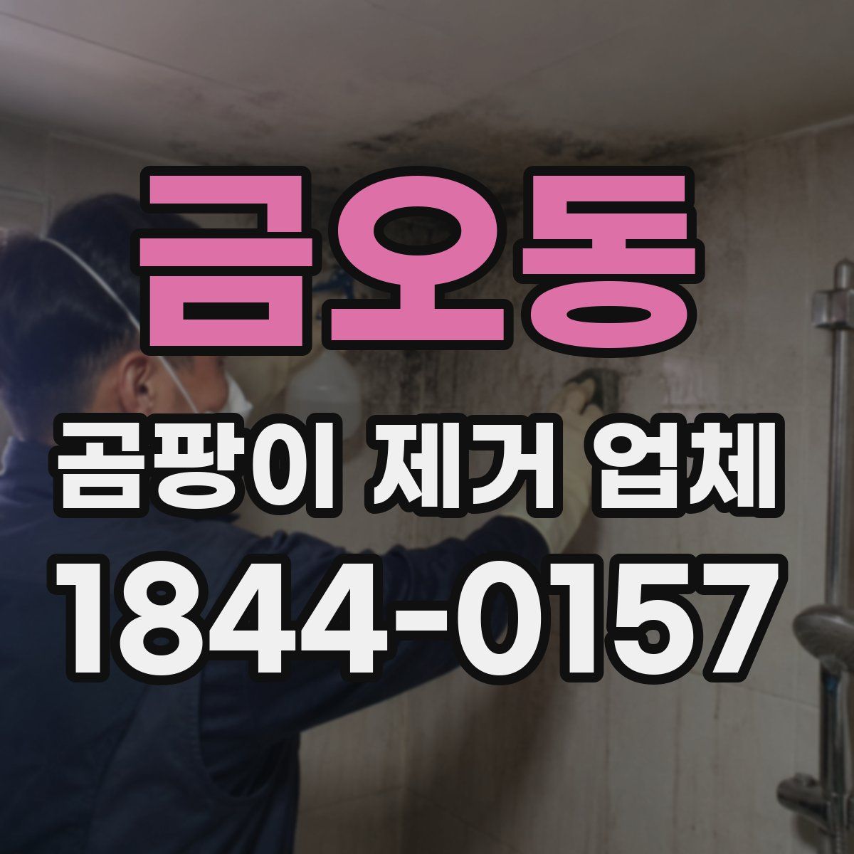 금오동 곰팡이 제거 업체