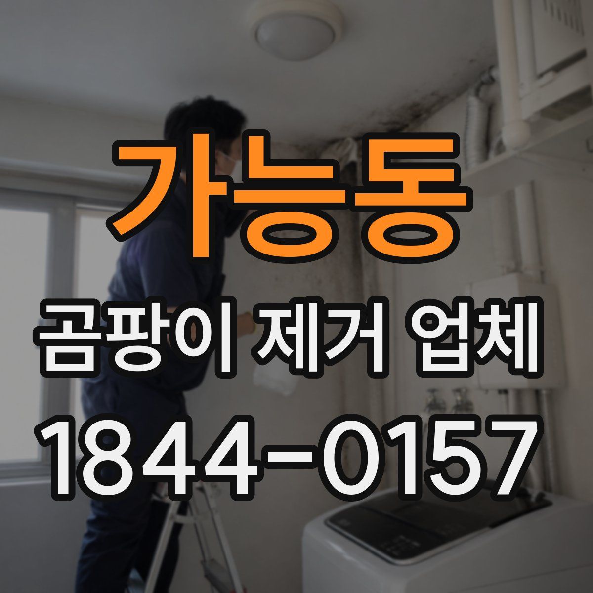 가능동 곰팡이 제거 업체