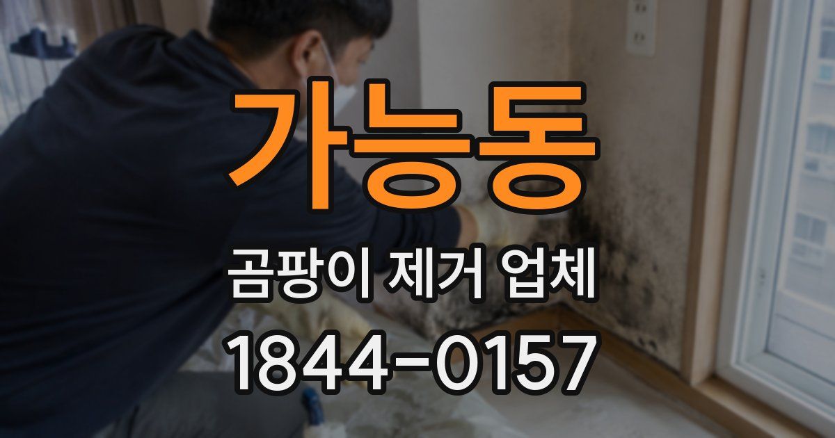 가능동 곰팡이 제거 업체
