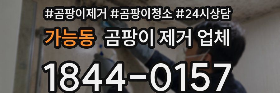 가능동 곰팡이 제거 업체