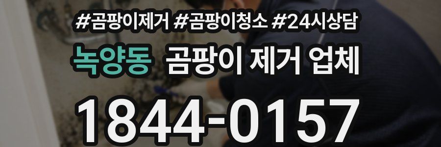 녹양동 곰팡이 제거 업체