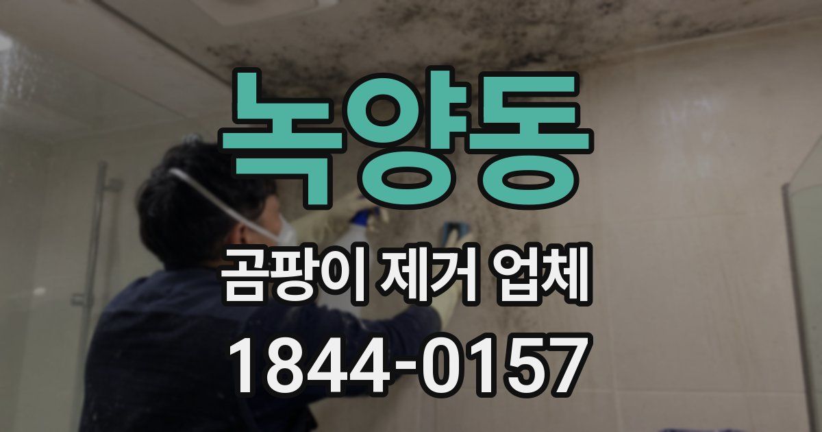 녹양동 곰팡이 제거 업체