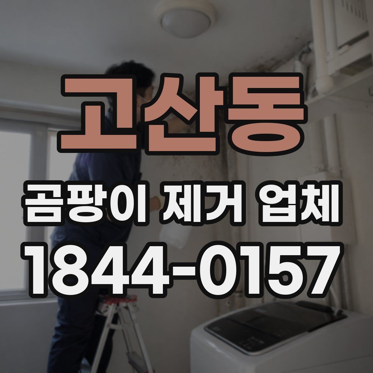 고산동 곰팡이 제거 업체 벽체 내부 결로 흔적을 확인하는 진단 과정