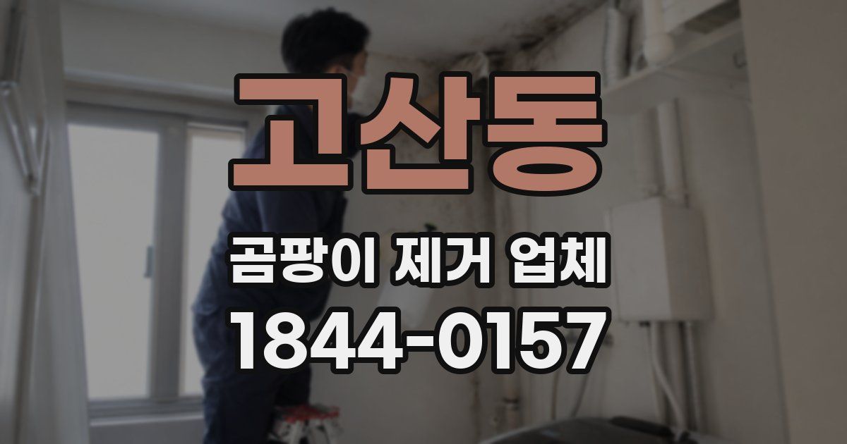 고산동 곰팡이 제거 업체