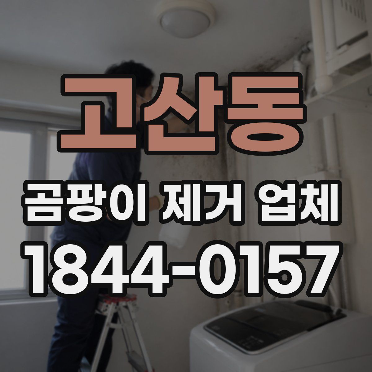 고산동 곰팡이 제거 업체