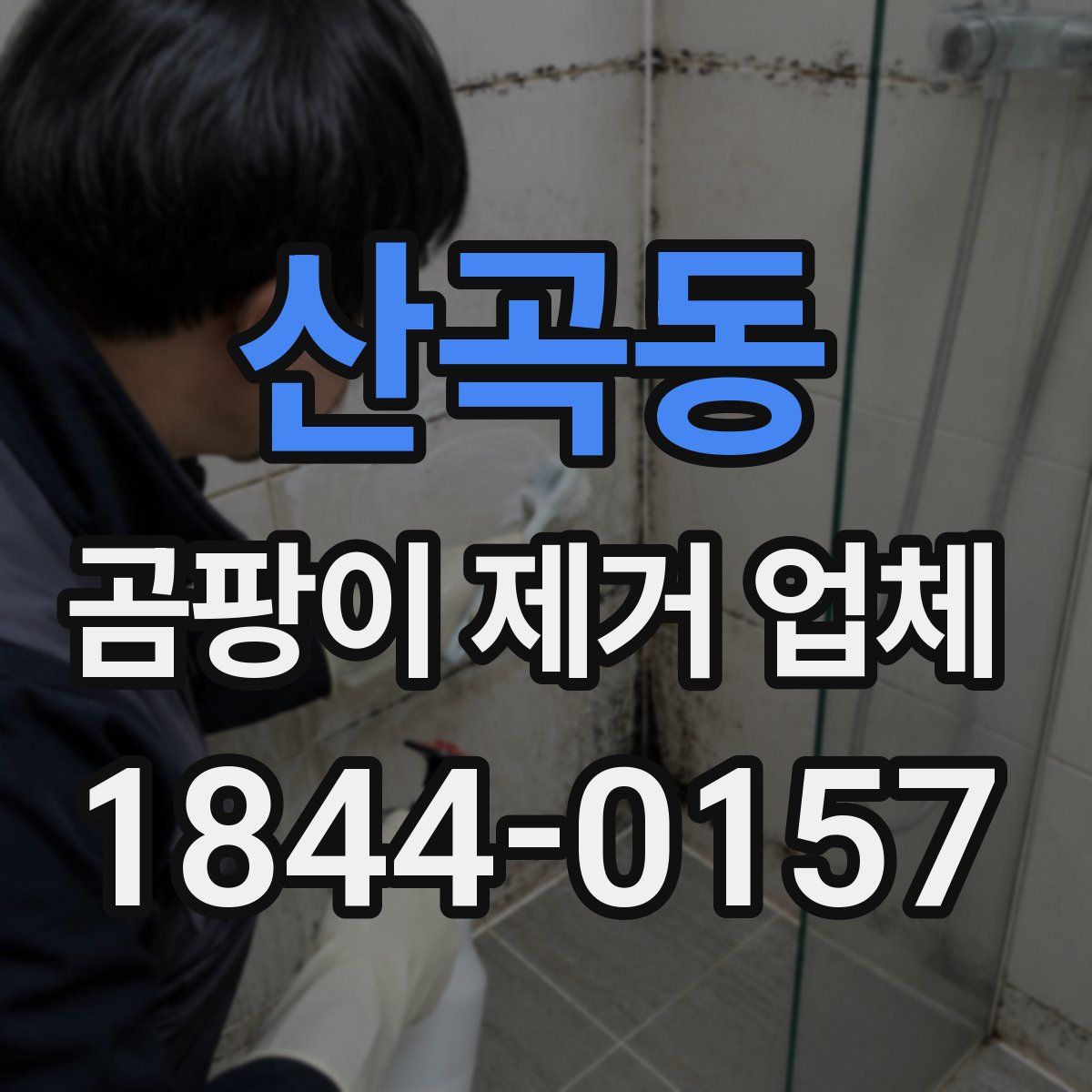 산곡동 곰팡이 제거 업체