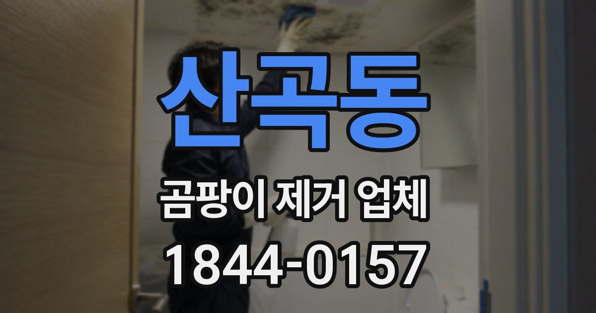 산곡동 곰팡이 제거 업체
