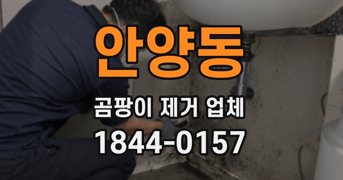 안양동 곰팡이 제거 업체