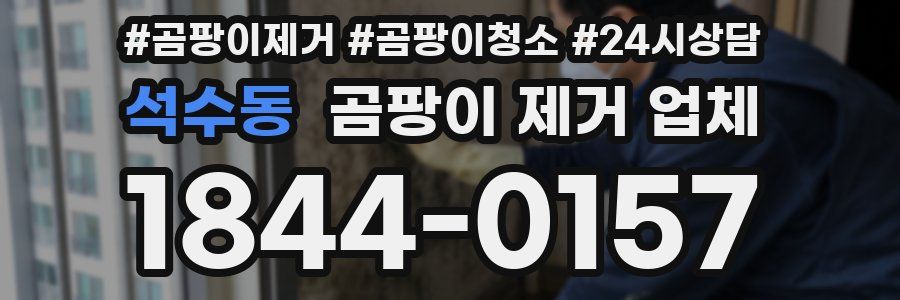 석수동 곰팡이 제거 업체