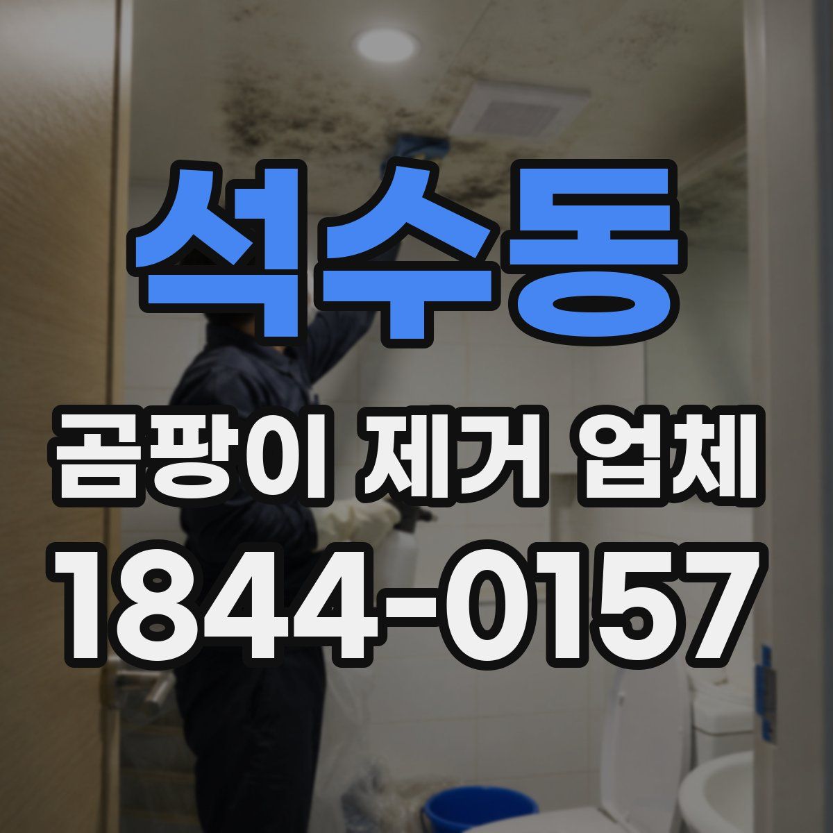 석수동 곰팡이 제거 업체
