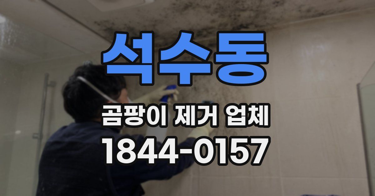 석수동 곰팡이 제거 업체
