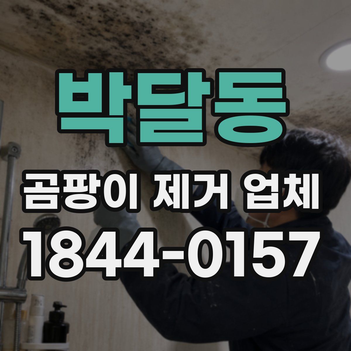 박달동 곰팡이 제거 업체