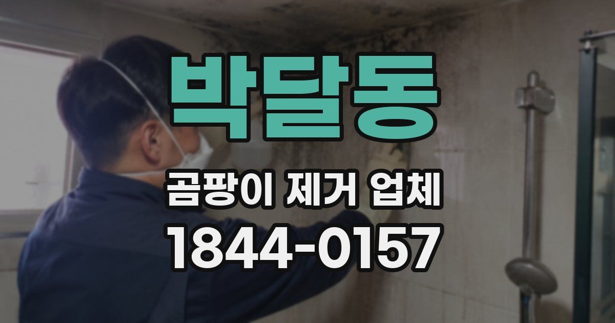 박달동 곰팡이 제거 업체