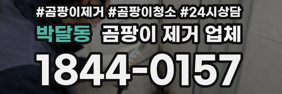 박달동 곰팡이 제거 업체