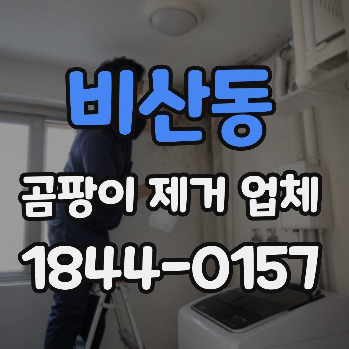 비산동 곰팡이 제거 업체