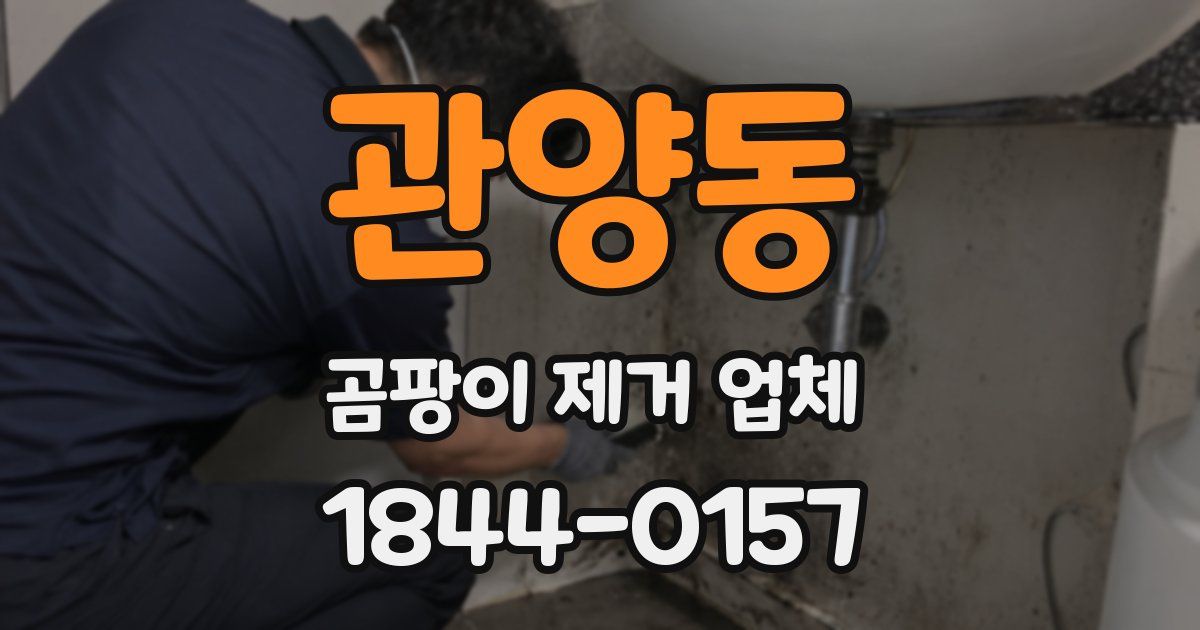 관양동 곰팡이 제거 업체