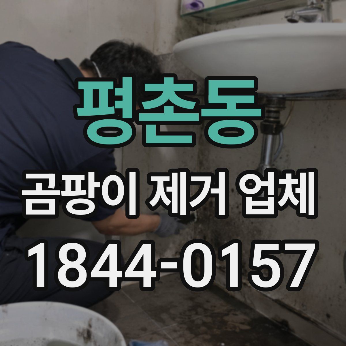 평촌동 곰팡이 제거 업체