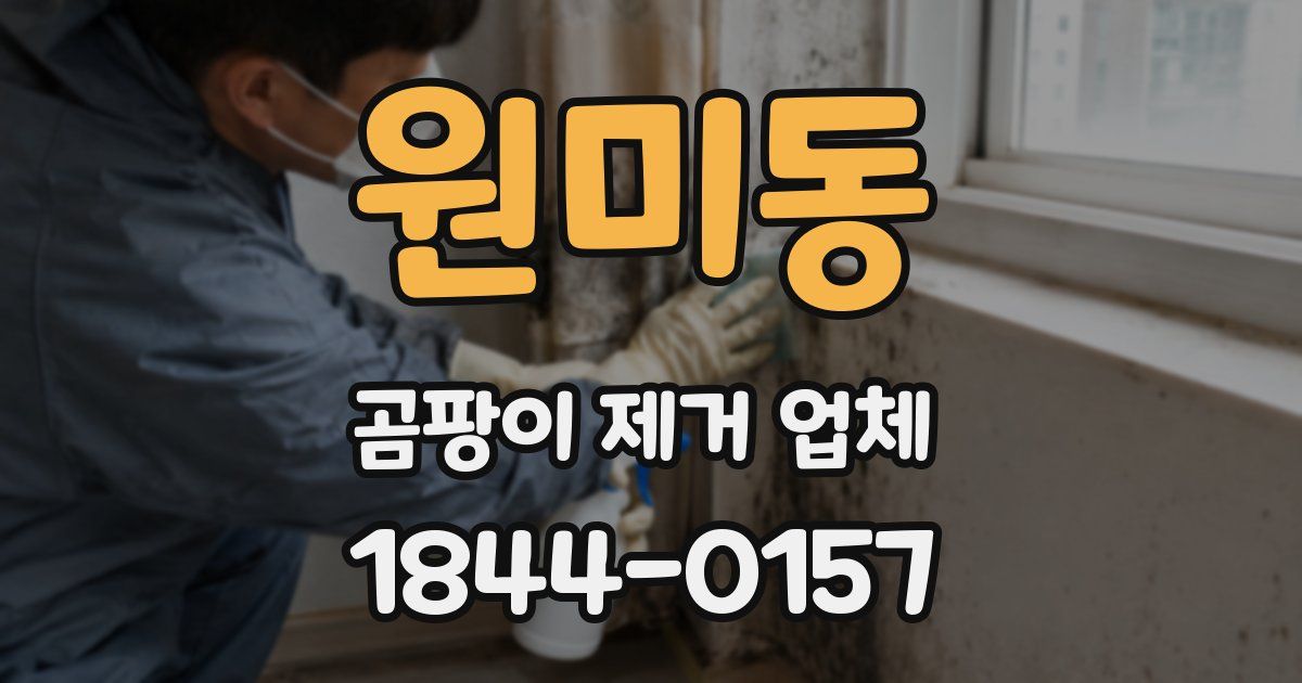 원미동 곰팡이 제거 업체