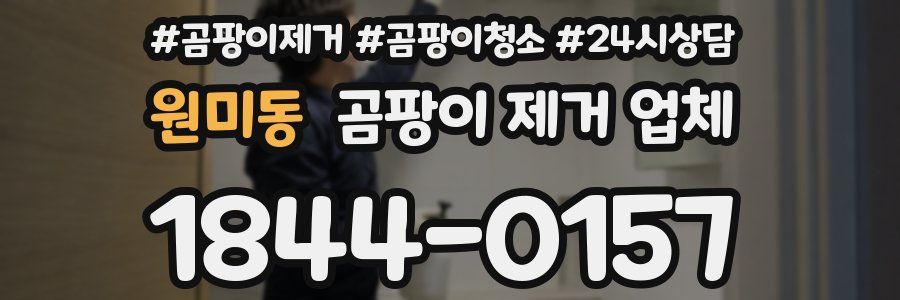원미동 곰팡이 제거 업체