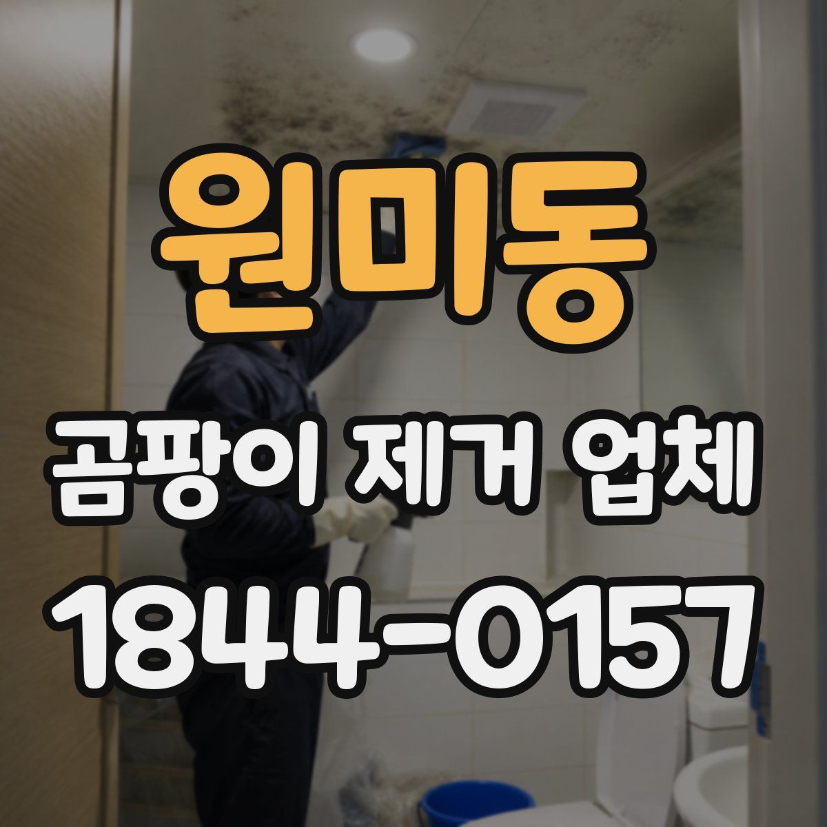 원미동 곰팡이 제거 업체