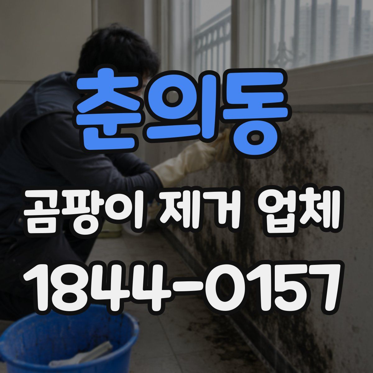 춘의동 곰팡이 제거 업체