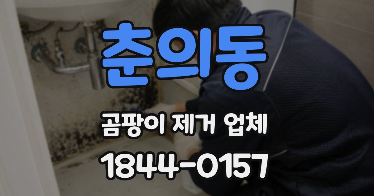 춘의동 곰팡이 제거 업체