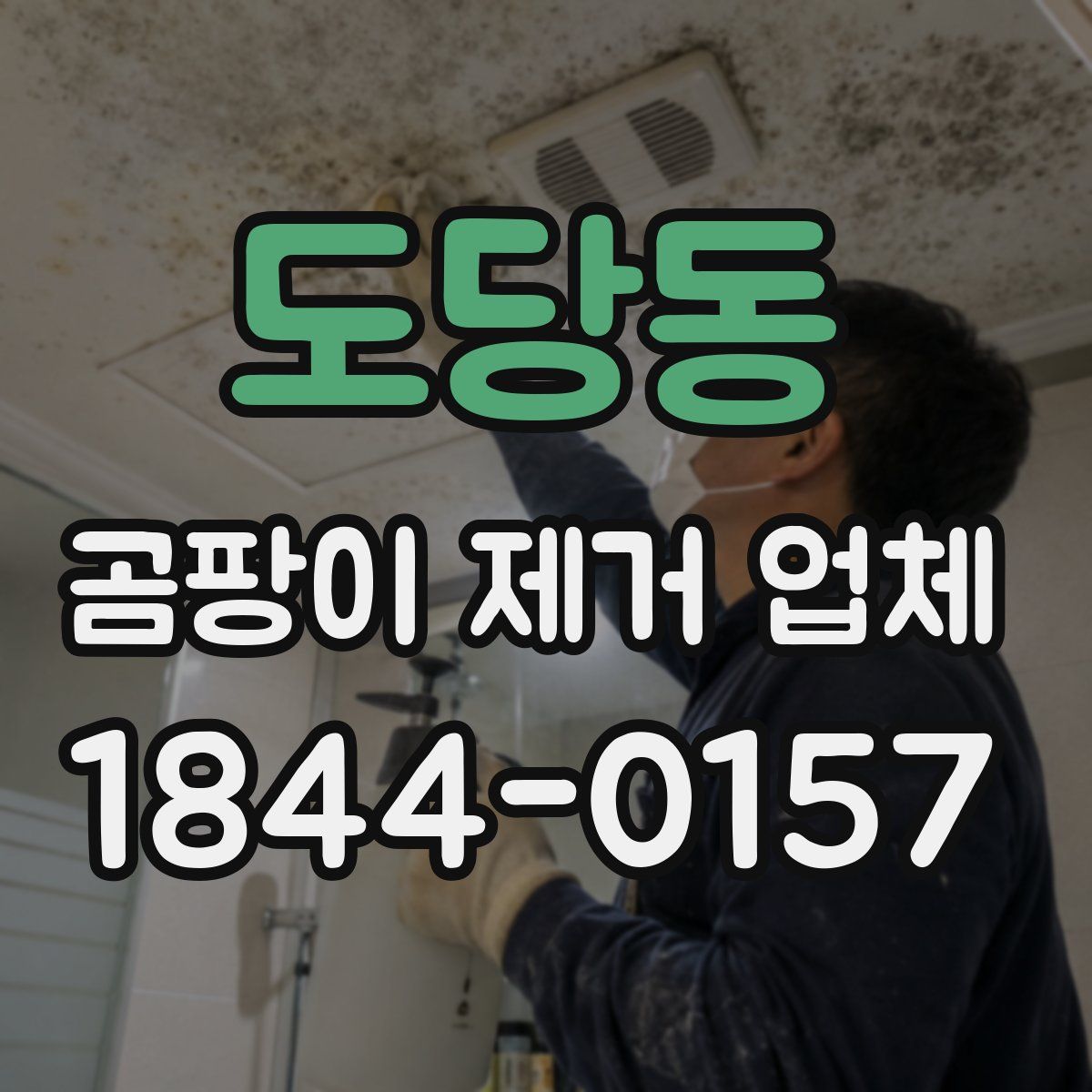 도당동 곰팡이 제거 업체