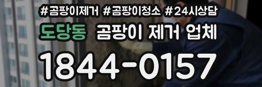 도당동 곰팡이 제거 업체