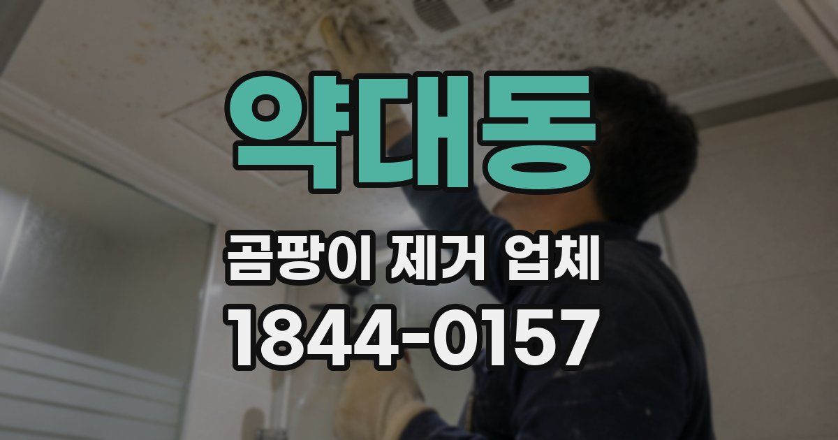 약대동 곰팡이 제거 업체